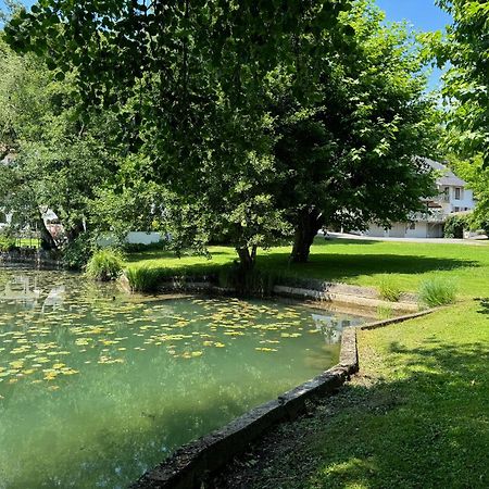 Saint-Alban-de-Montbel Les Lodges Du Lac מראה חיצוני תמונה